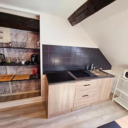 Le Bourbon Hypercentre شقة *